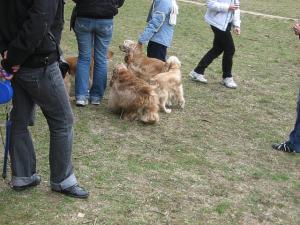 Прикачена снимка