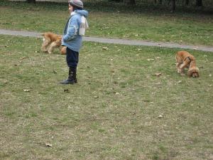 Прикачена снимка