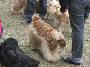 Прикачена снимка