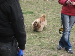 Прикачена снимка