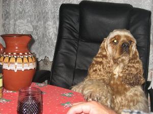 Прикачена снимка