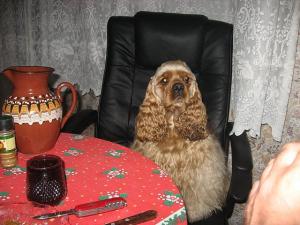Прикачена снимка