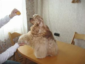 Прикачена снимка