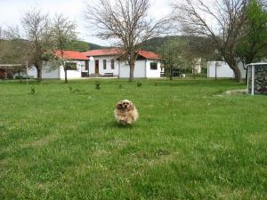 Прикачена снимка
