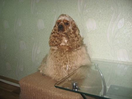 Прикачена снимка