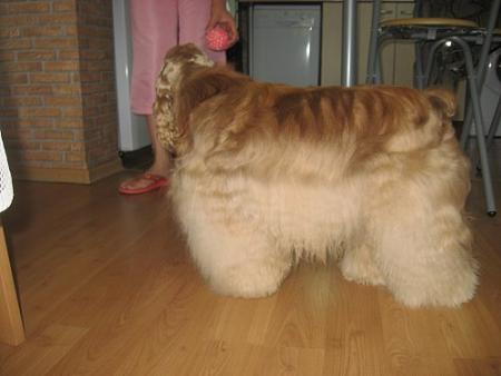 Прикачена снимка