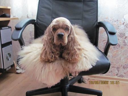 Прикачена снимка