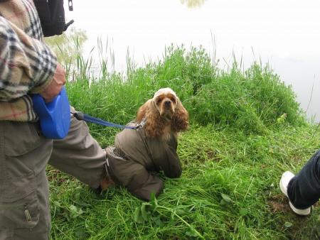 Прикачена снимка