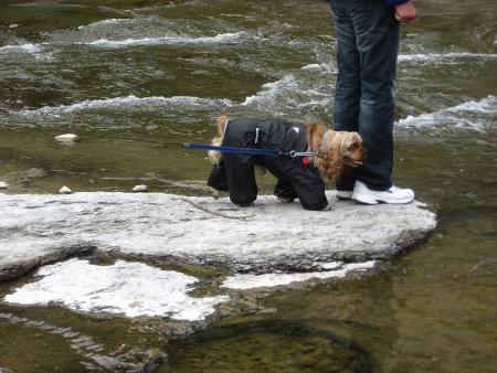 Прикачена снимка
