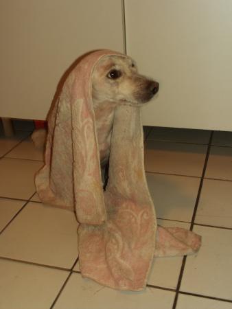Прикачена снимка