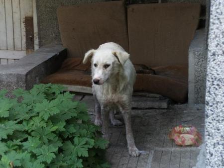 Прикачена снимка