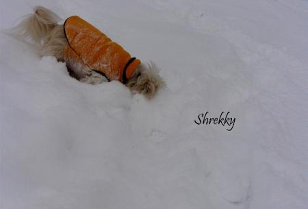 Прикачена снимка