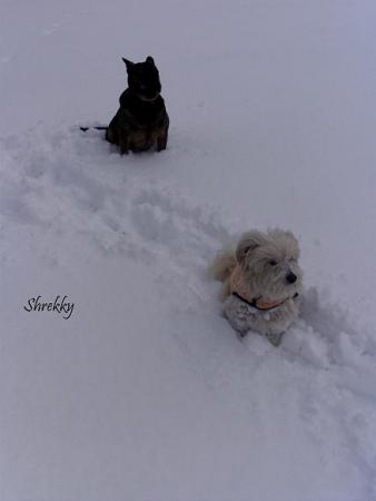 Прикачена снимка