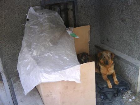 Прикачена снимка