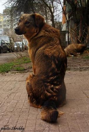 Прикачена снимка