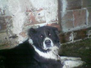 Прикачена снимка