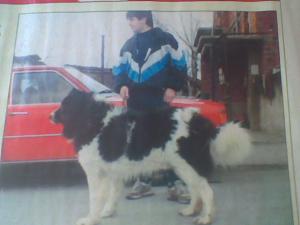 Прикачена снимка