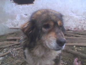 Прикачена снимка