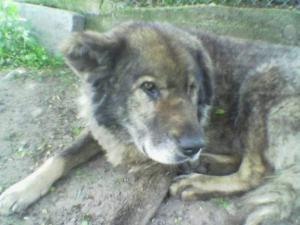 Прикачена снимка