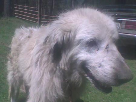 Прикачена снимка