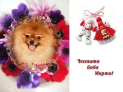 Прикачена снимка