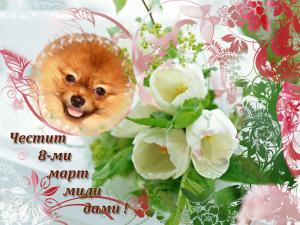 Прикачена снимка
