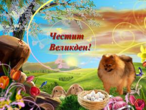 Прикачена снимка