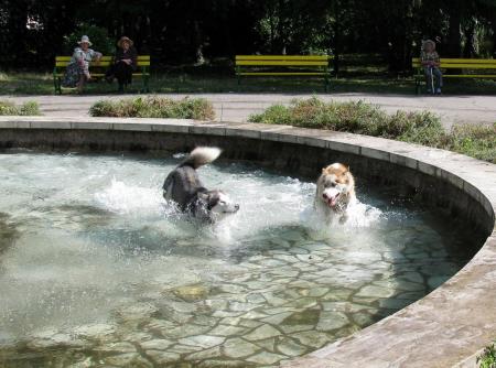 Прикачена снимка