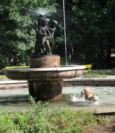 Прикачена снимка