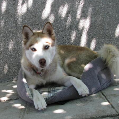 Прикачена снимка