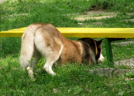 Прикачена снимка