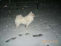 Прикачена снимка