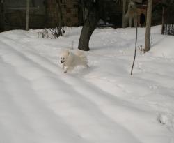 Прикачена снимка