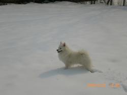 Прикачена снимка