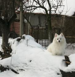 Прикачена снимка