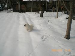 Прикачена снимка