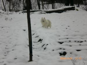 Прикачена снимка