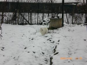 Прикачена снимка
