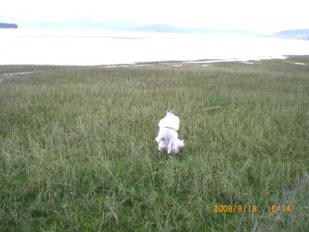 Прикачена снимка