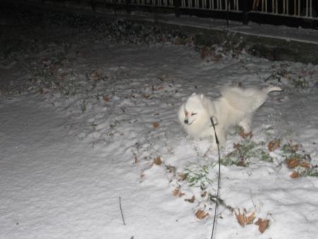 Прикачена снимка