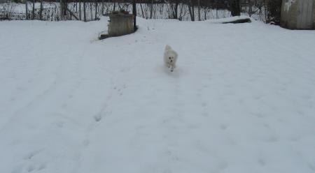 Прикачена снимка