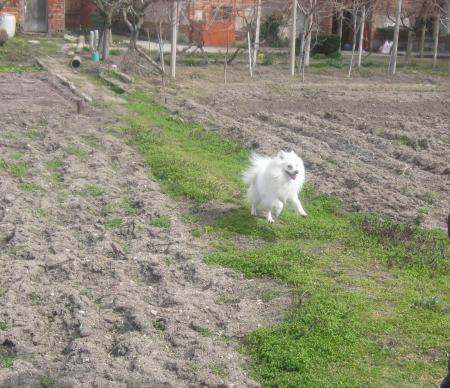 Прикачена снимка