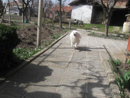 Прикачена снимка