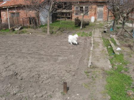 Прикачена снимка