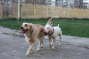 Прикачена снимка