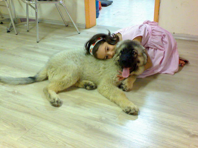 Прикачена снимка