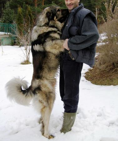 Прикачена снимка