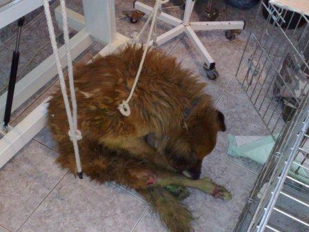 Прикачена снимка