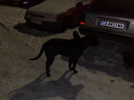 Прикачена снимка