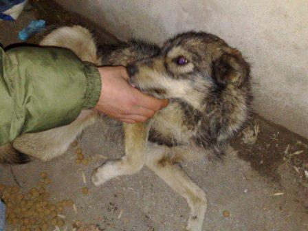 Прикачена снимка